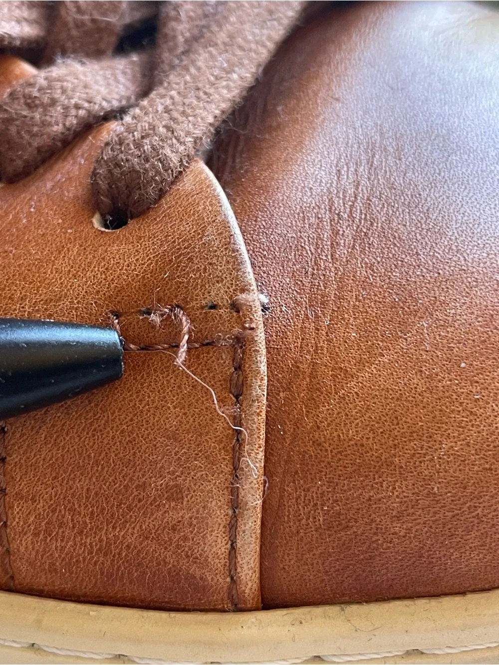 Allen Edmonds low top